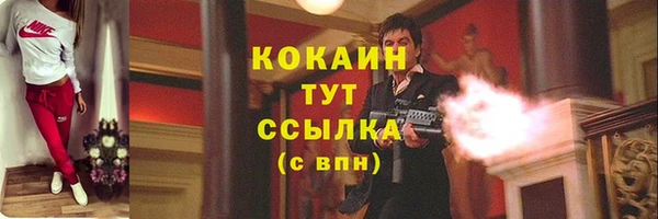 2c-b Мегион