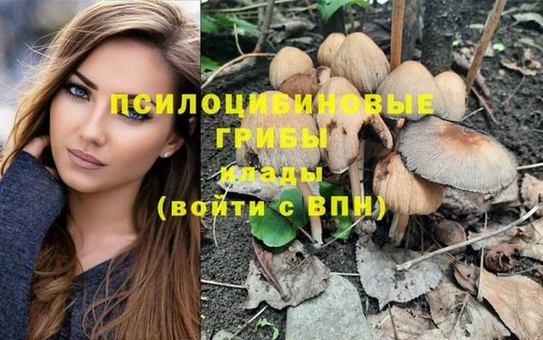 мдпв Магадан