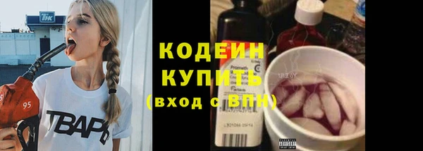 дмт Магас