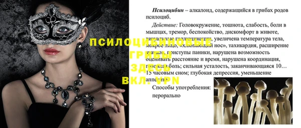 мдпв Магадан
