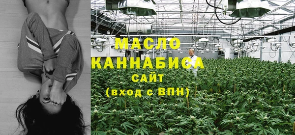 дмт Магас