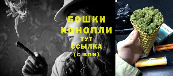 дмт Магас