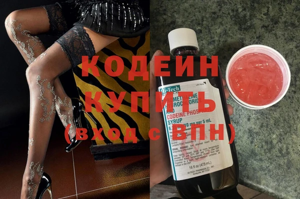 дмт Магас