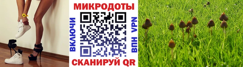 Псилоцибиновые грибы Psilocybine cubensis Купить закладки Козельск